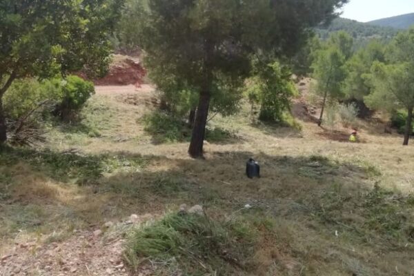 aperambient_cortafuegos_desbroce-4