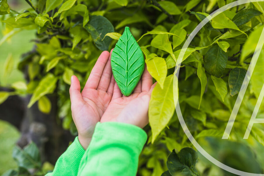 Certificaciones Ambientales